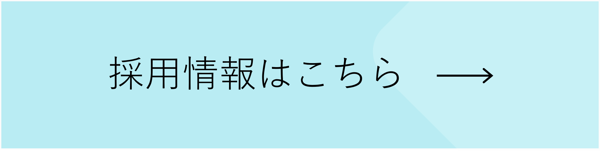 採用情報はこちら